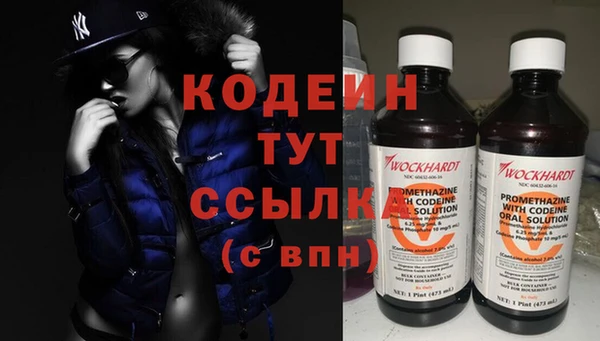 прущие грибы Верхний Тагил