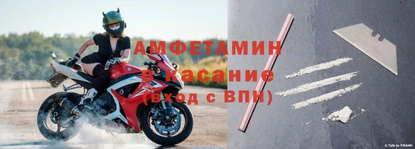 прущие грибы Верхний Тагил