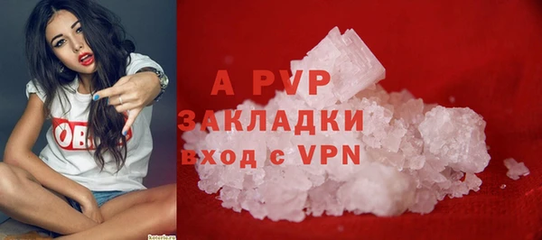 прущие грибы Верхний Тагил