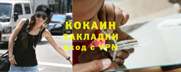 прущие грибы Верхний Тагил