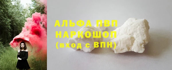 прущие грибы Верхний Тагил