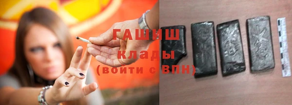 прущие грибы Верхний Тагил