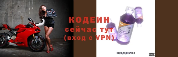 прущие грибы Верхний Тагил