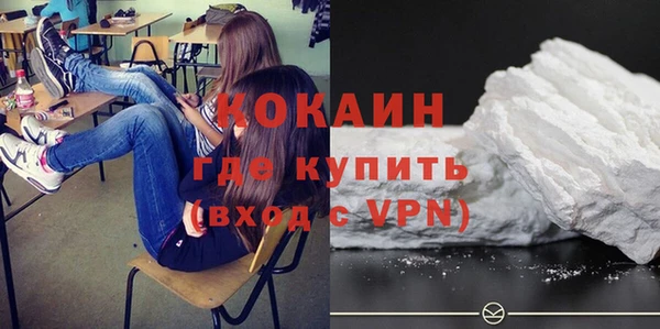 прущие грибы Верхний Тагил