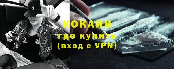 прущие грибы Верхний Тагил