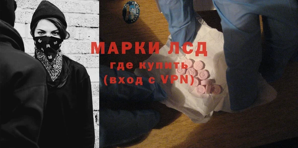 прущие грибы Верхний Тагил
