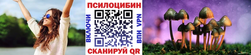 закладка  Кисловодск  площадка формула  Галлюциногенные грибы Psilocybe 