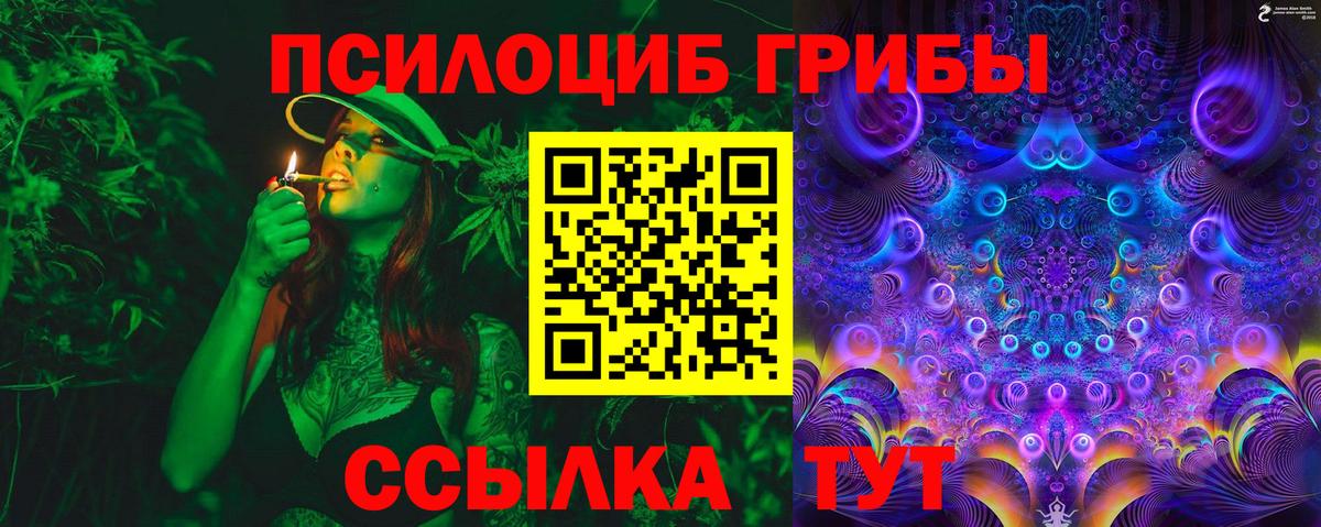 Псилоцибиновые грибы Cubensis Кисловодск