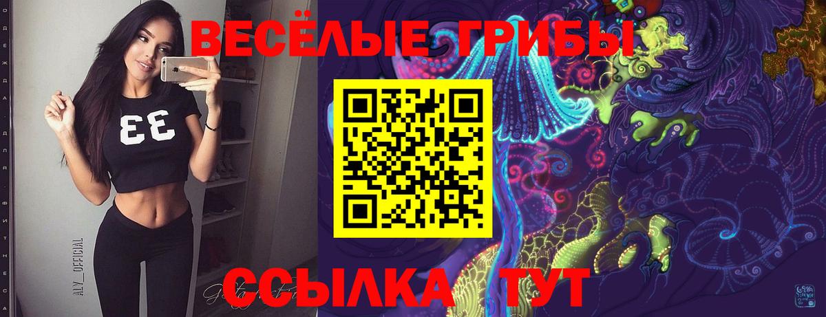 хочу наркоту  Галлюциногенные грибы Magic Shrooms  Вход с VPN  Кисловодск 