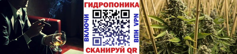 Конопля SATIVA & INDICA  Кисловодск 